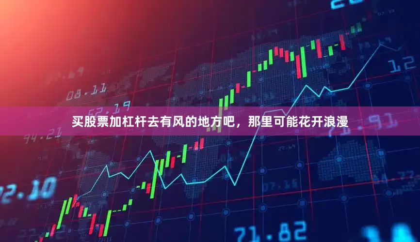 买股票加杠杆去有风的地方吧，那里可能花开浪漫