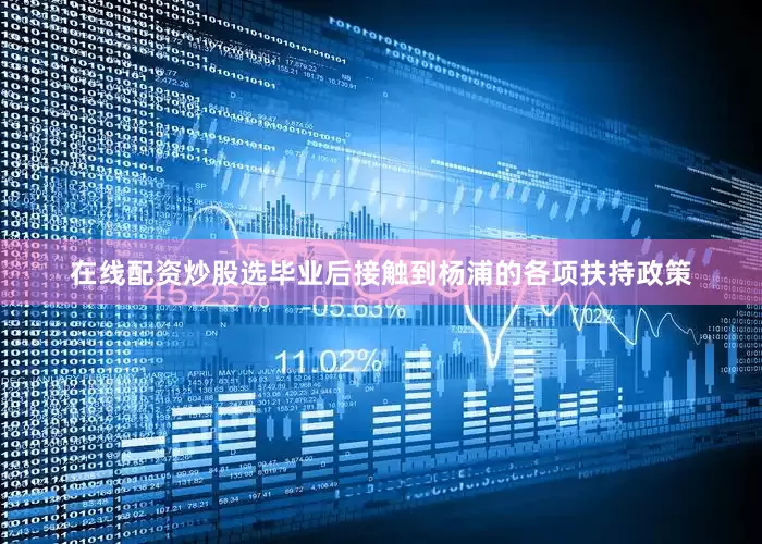 在线配资炒股选毕业后接触到杨浦的各项扶持政策