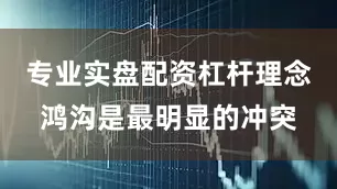 专业实盘配资杠杆理念鸿沟是最明显的冲突